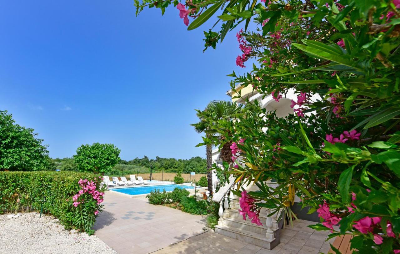 Apartments Ella Poreč Zewnętrze zdjęcie