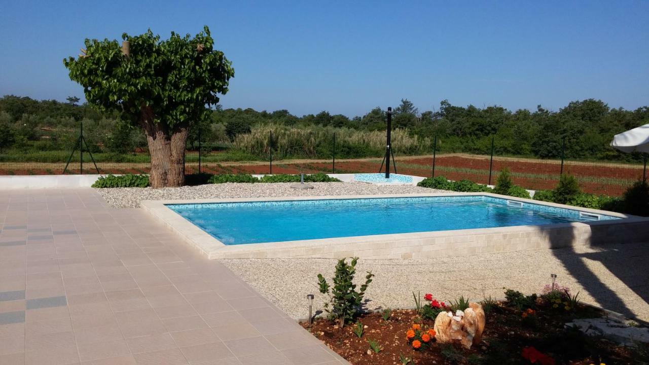 Apartments Ella Poreč Zewnętrze zdjęcie
